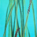 Grass Study