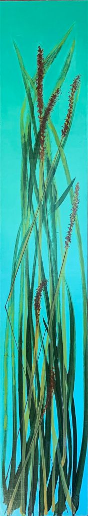 Grass Study