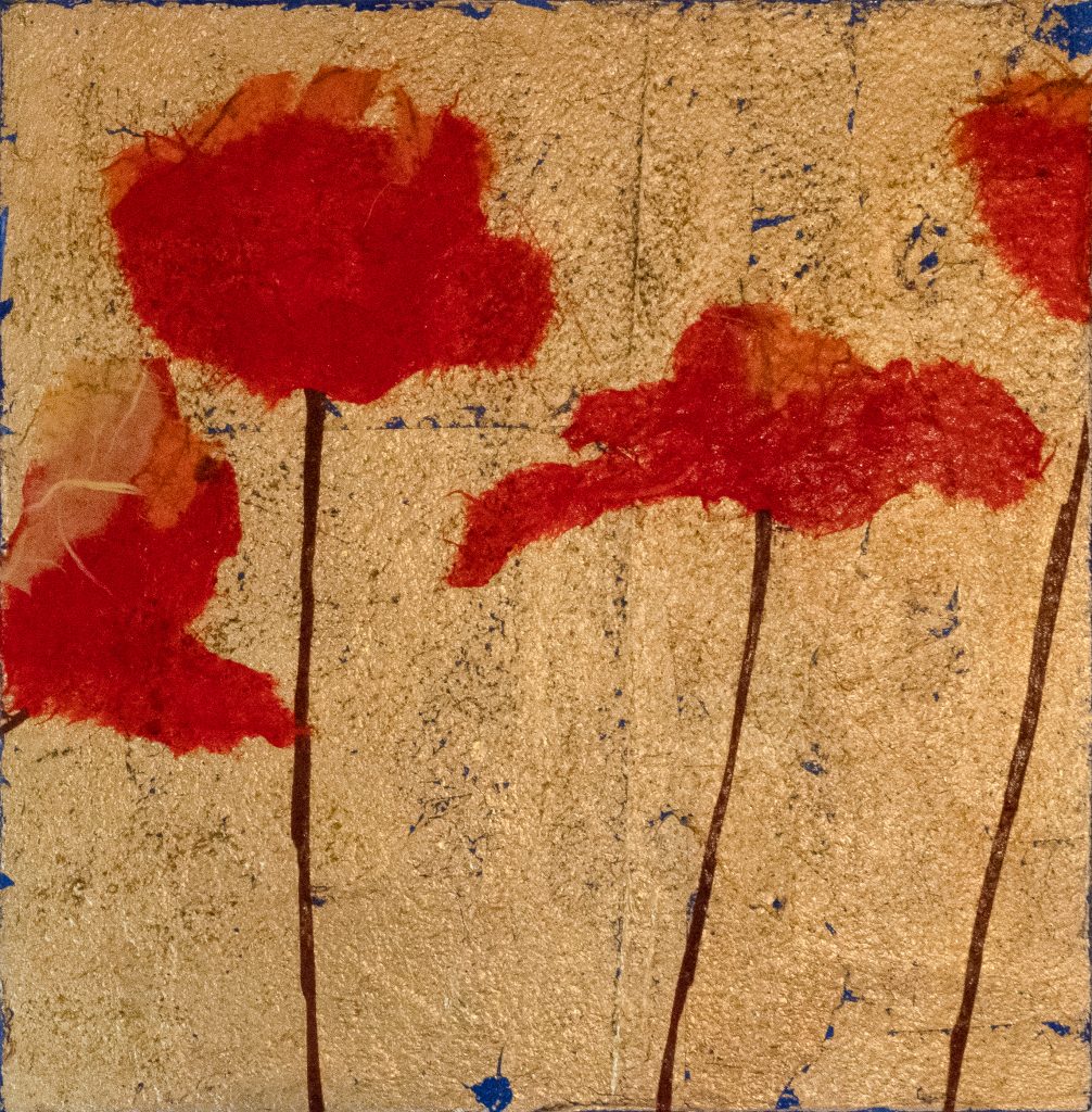 square poppies one