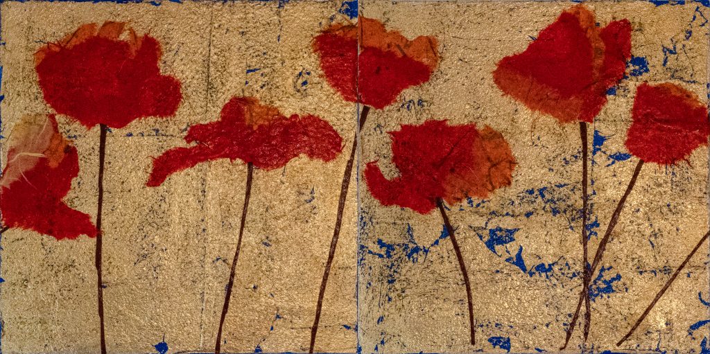 two squared poppies