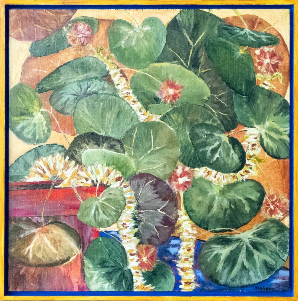begonias