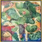 begonias