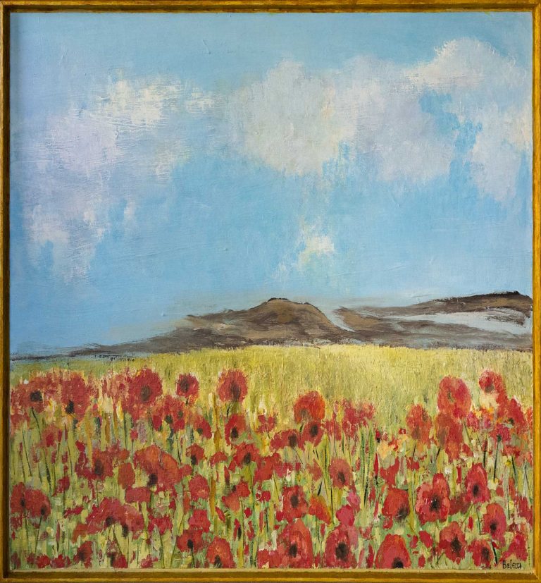field of red poppies